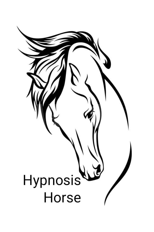 Логотип HypnoHorse Shop