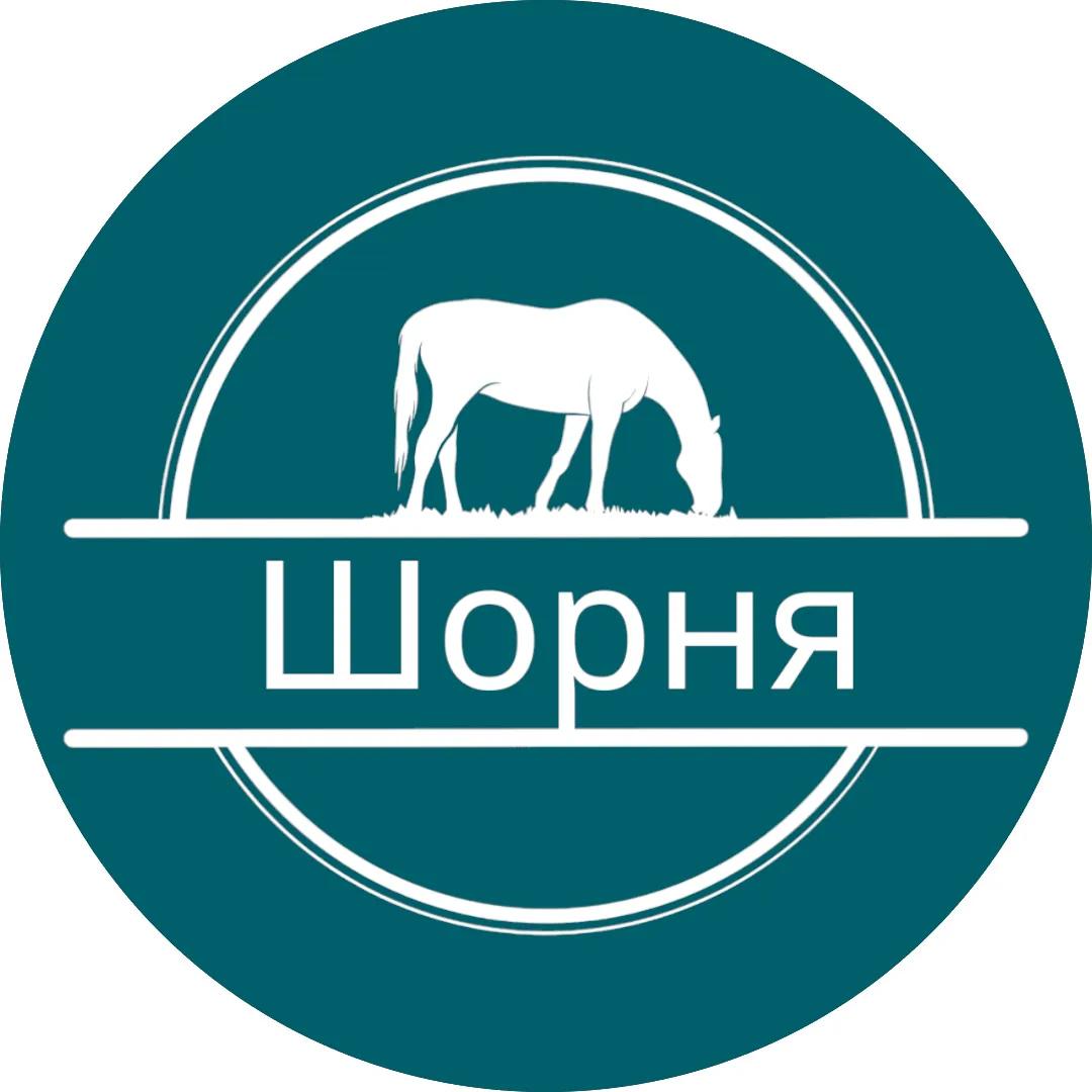 Логотип Шорня