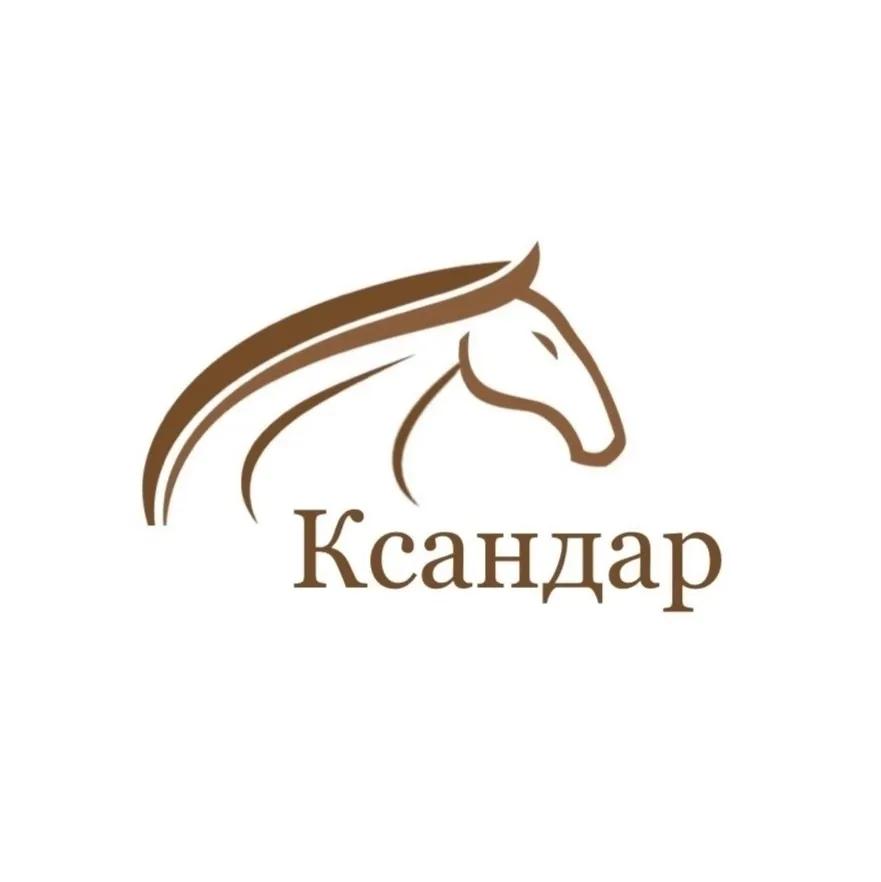 Логотип Ксандар