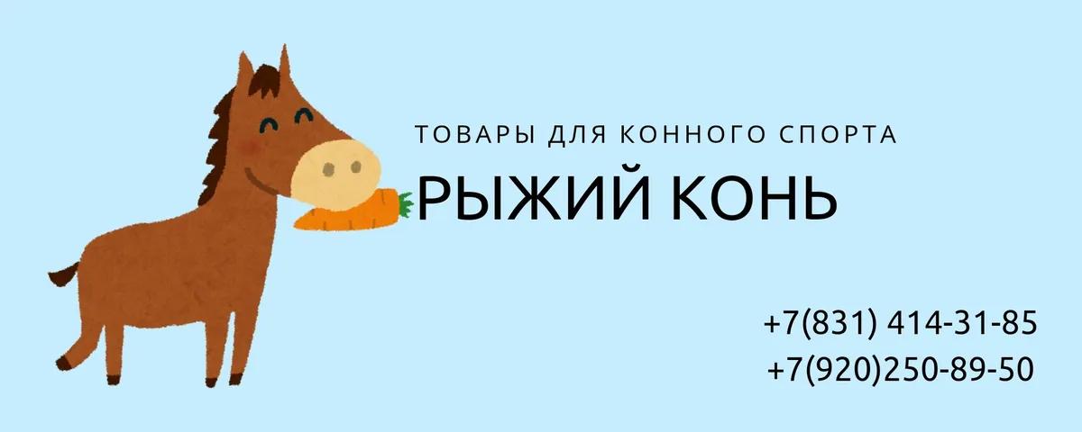 Баннер магазина Рыжий конь