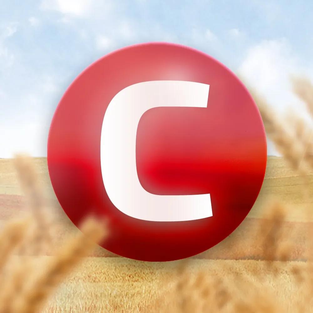 Логотип ООО “ТД “Созидание”