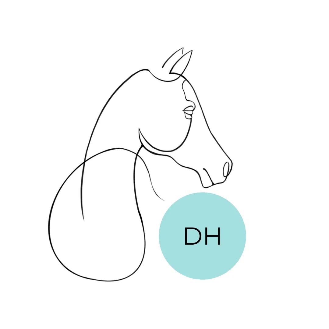 Логотип Dressed Horse