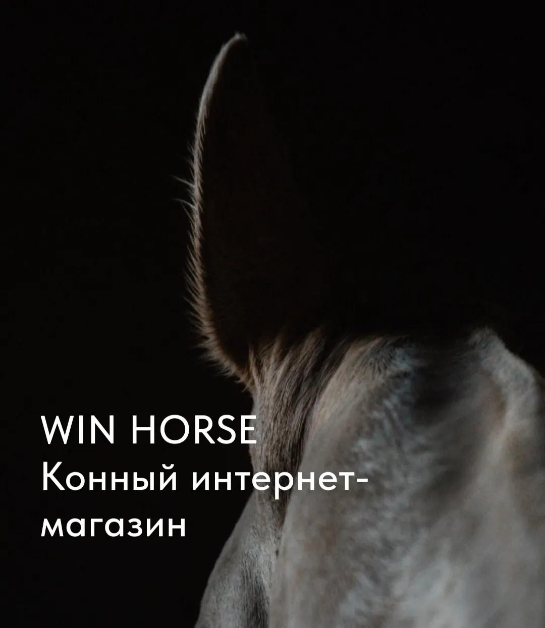 Логотип WIN HORSE