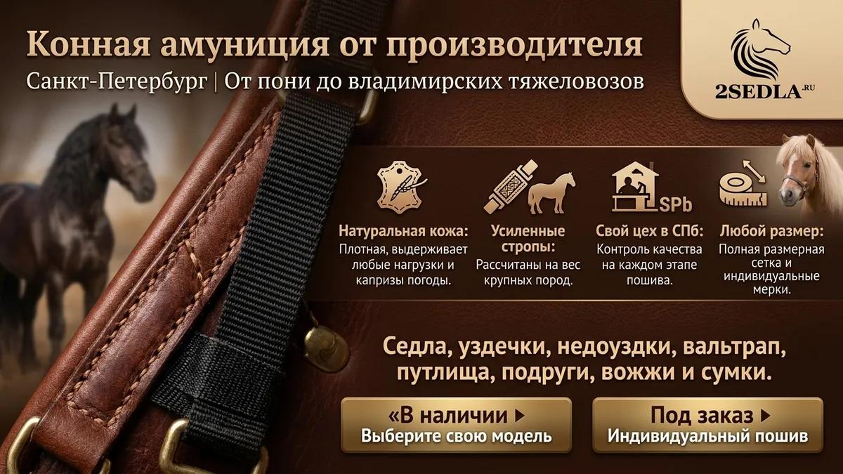 Баннер магазина Конный интернет магазин 2sedla.ru