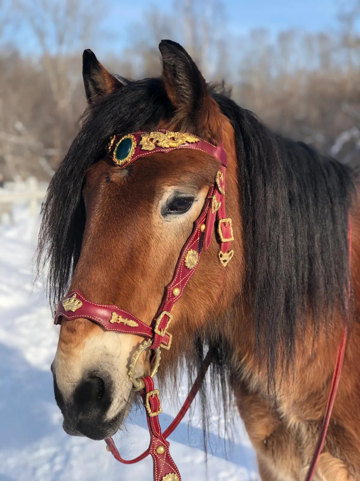 Логотип ShornayaGold