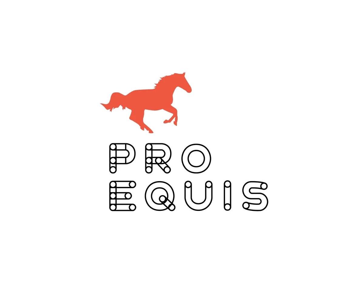 Логотип PROEQUIS