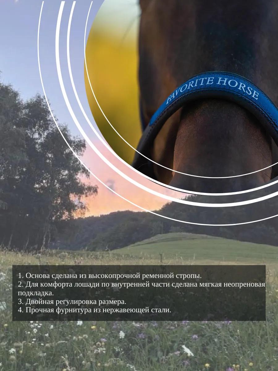 Недоуздок FAVORITE HORSE Comfort (синий)