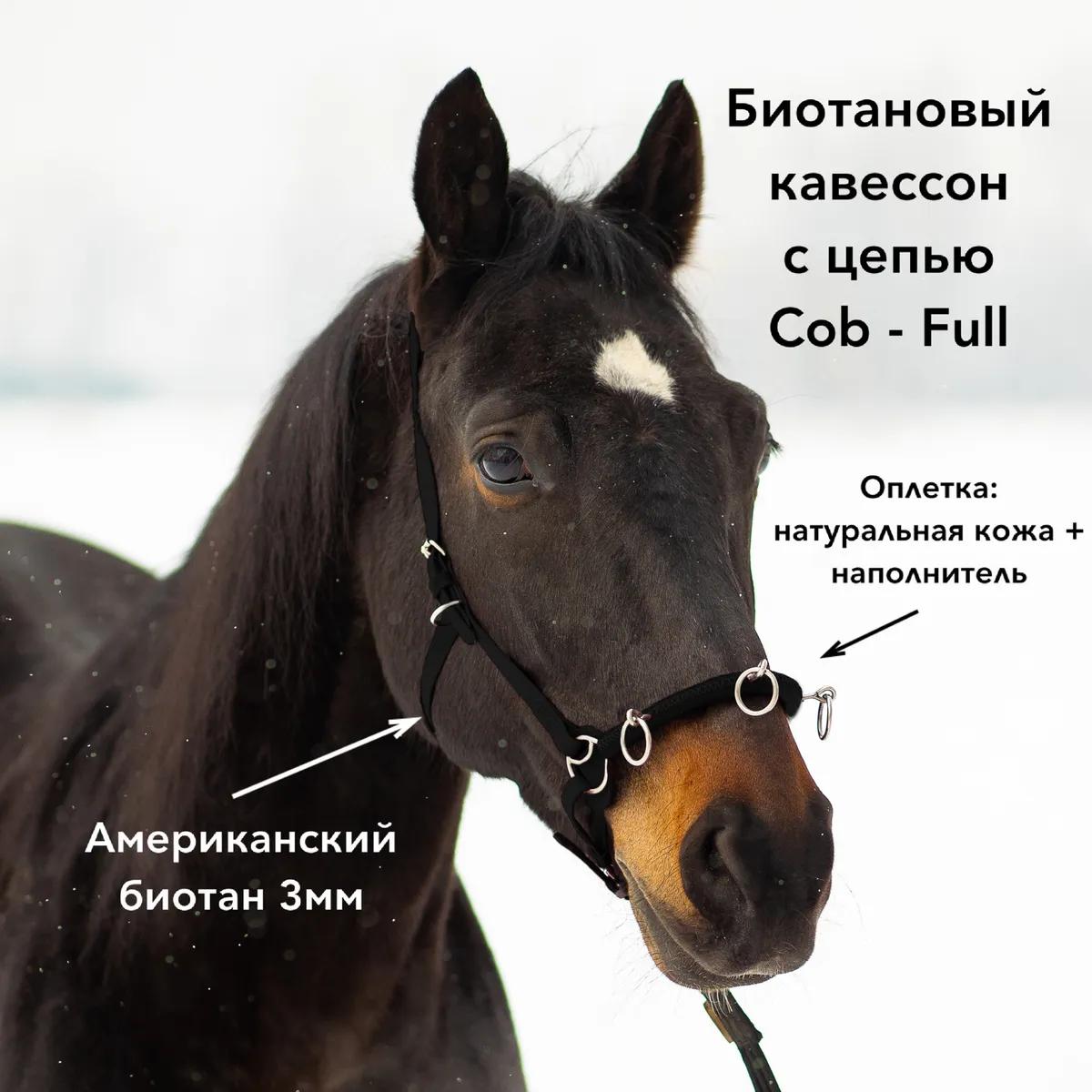 Кавессон с цепью Cob - Full 