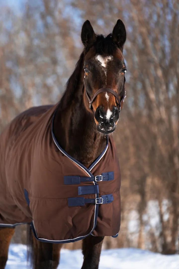 Попона денниковая FLEECE-LINED на флисе
