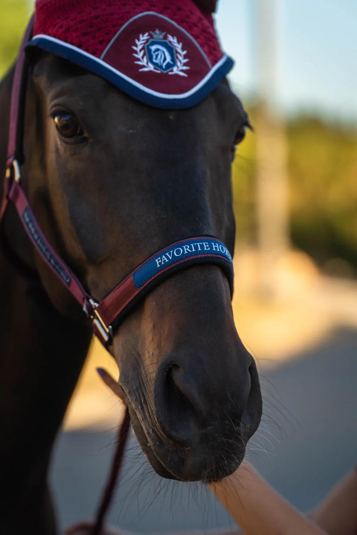 Недоуздок FAVORITE HORSE Comfort (бордовый)