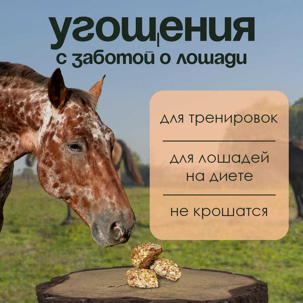 Козинаки овсяные без сахара PferdEssen