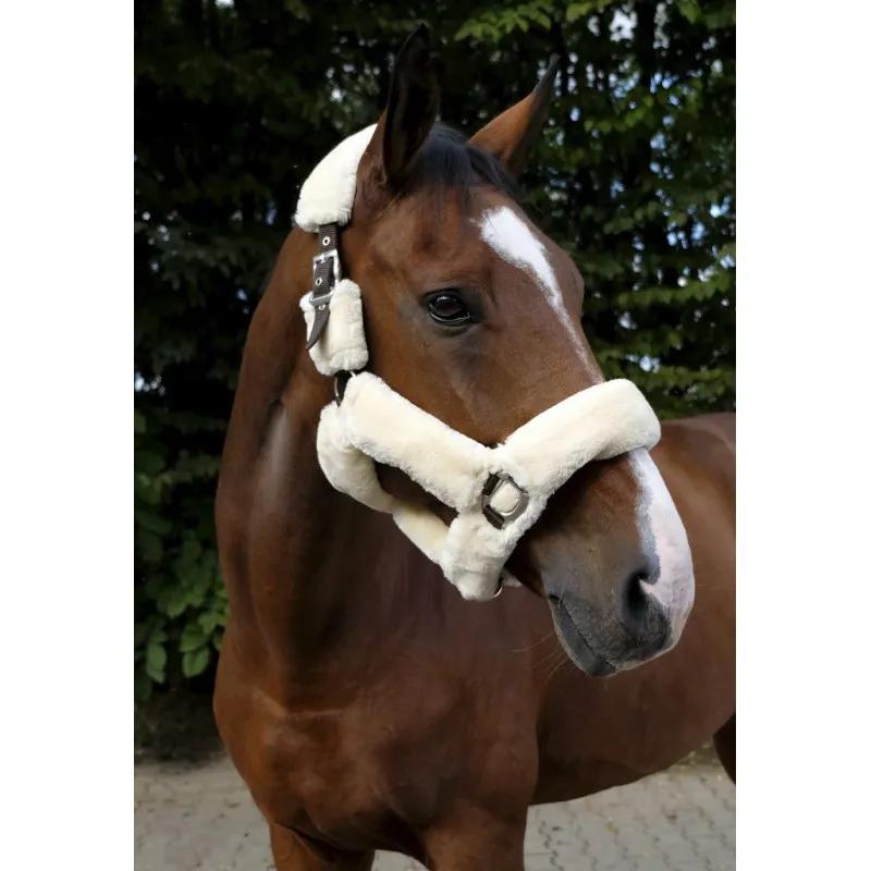 Недоуздок EQUITHEME Teddy