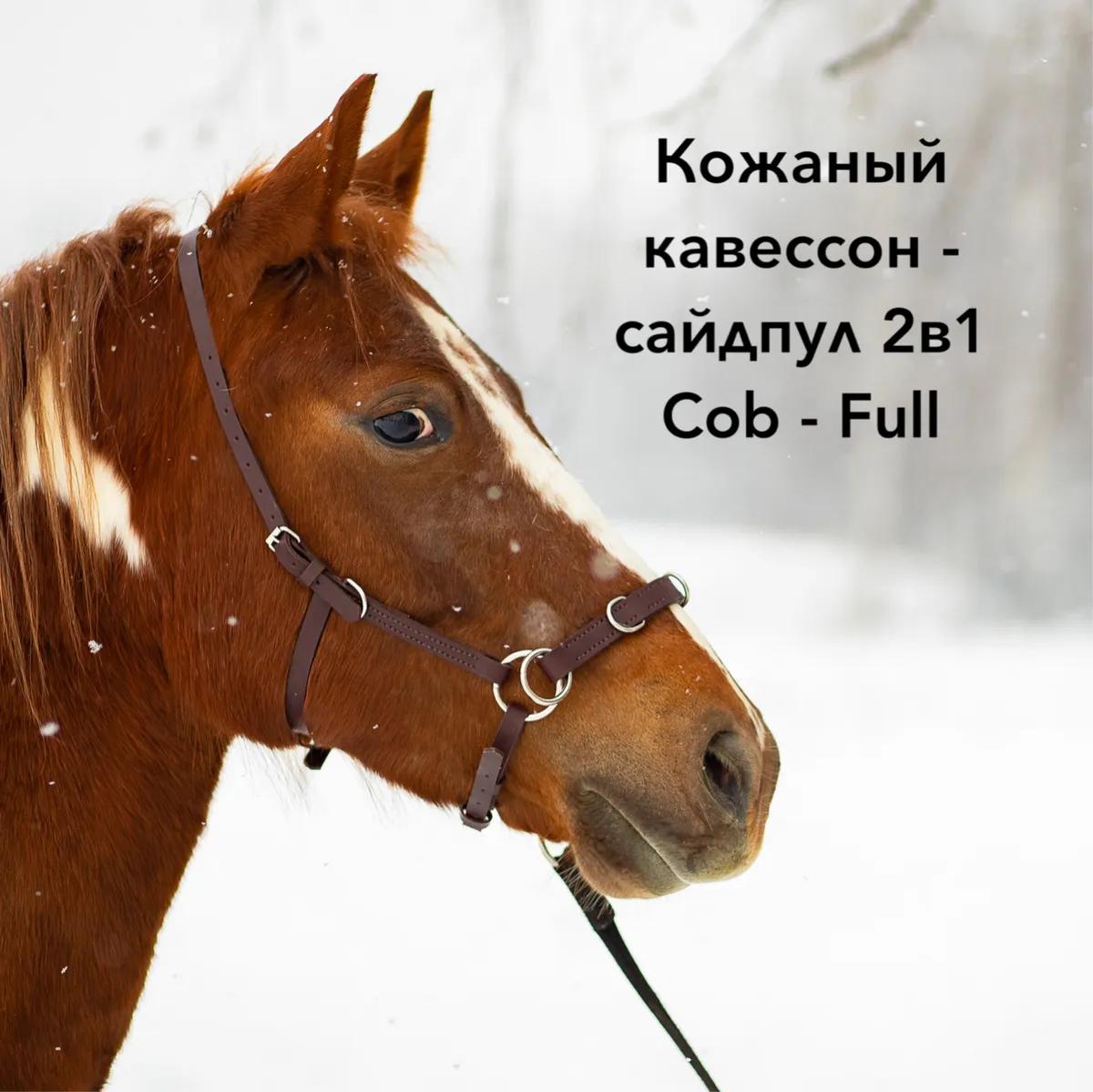 Кавессон Cob - Full 