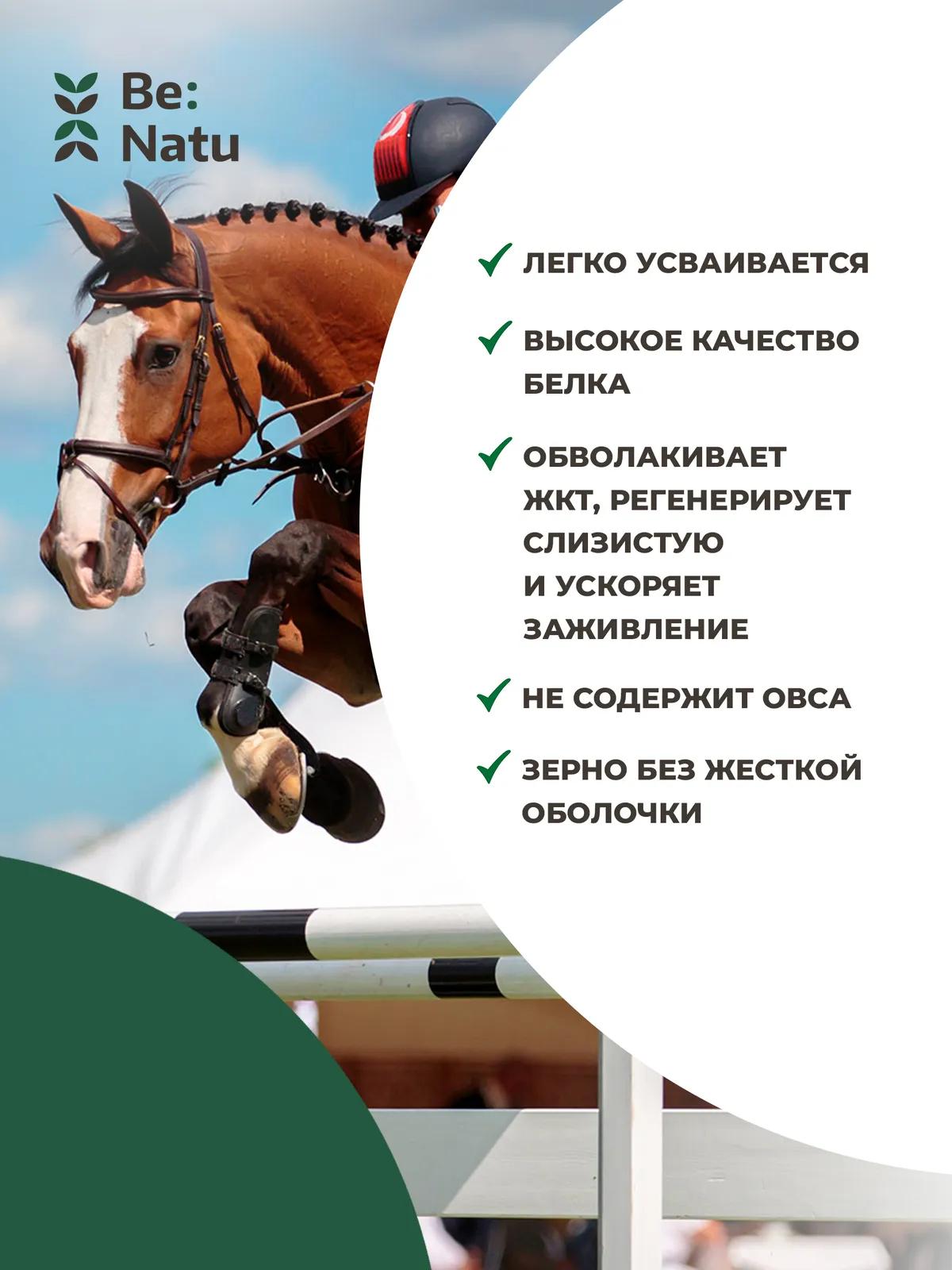 Fast mash 20кг.