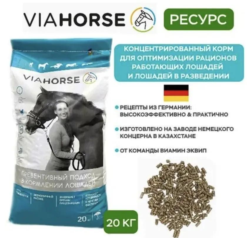 Концентрат для лошадей в разведении и работающих лошадей VIAHORSE (ВИАХОРС) РЕСУРС, 20 кг