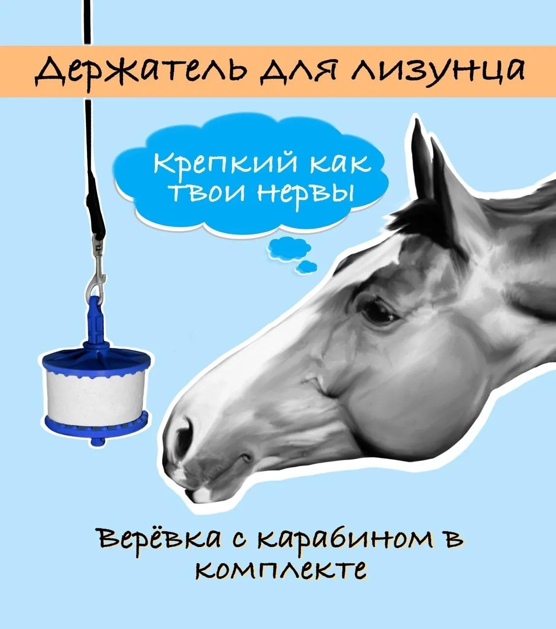 Держатель для лизунца (цв. синий, мат. пластик)