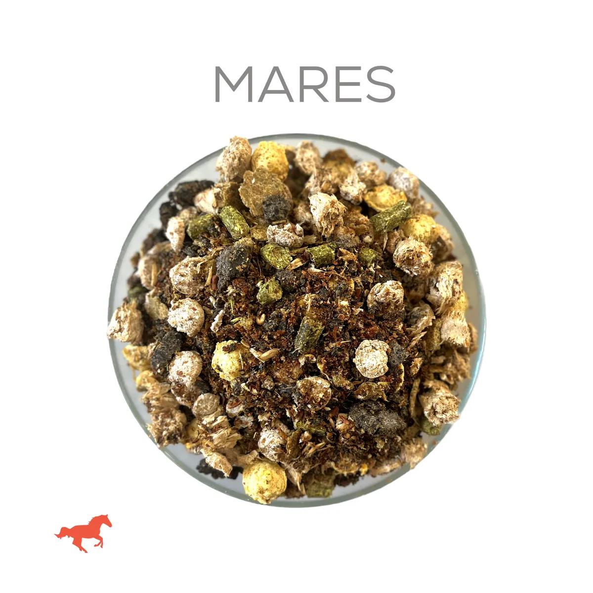 "Mares" для кобыл - ProEquis