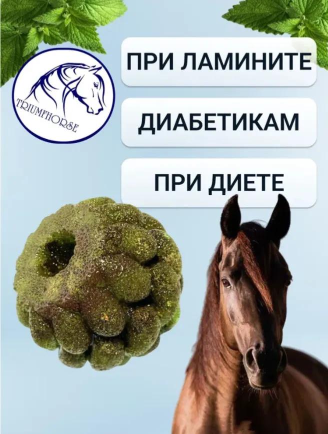 ЗАБАВА - Крапива - Уникальный леденец для лошади 