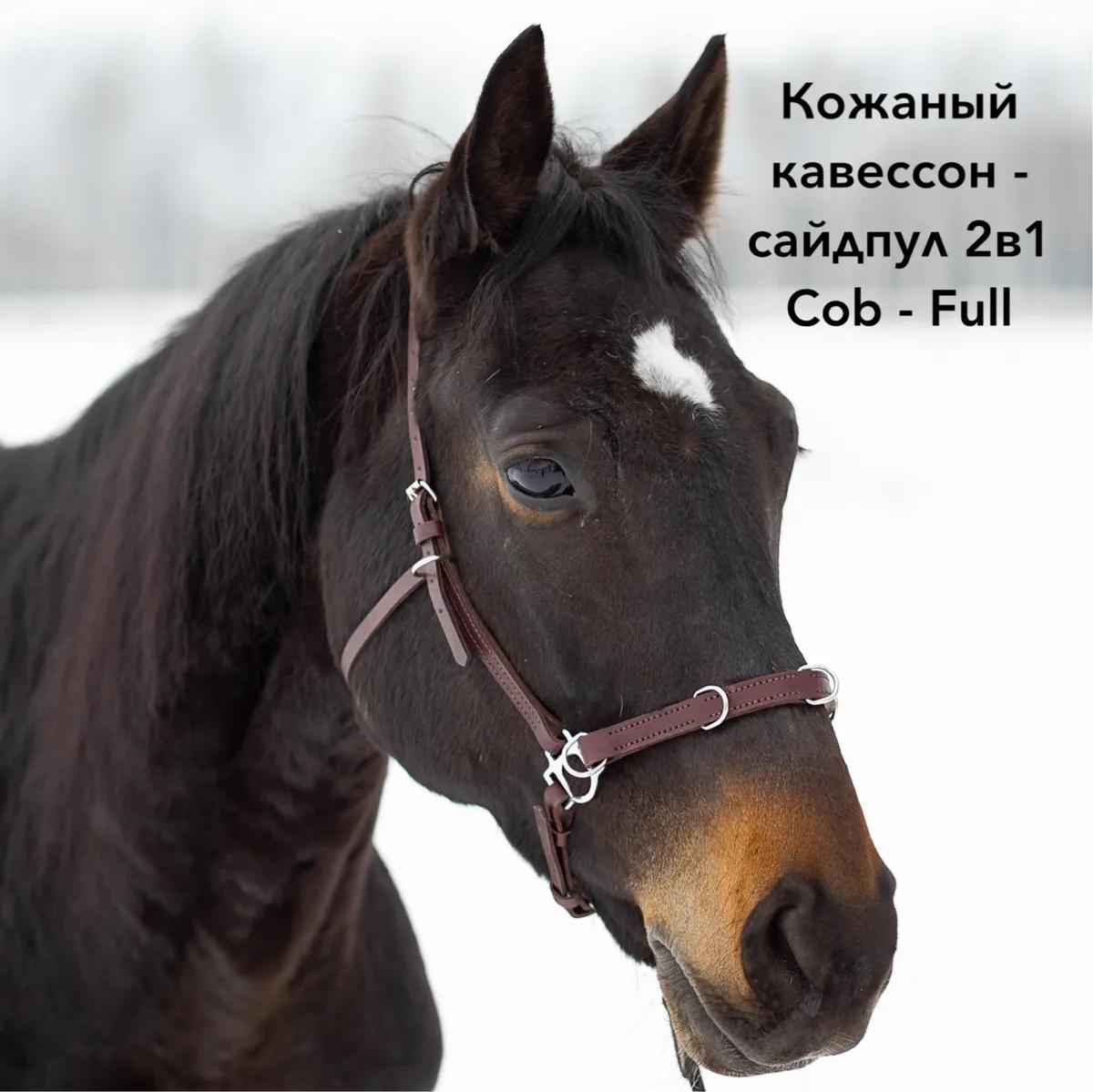 Кавессон Cob - Full 