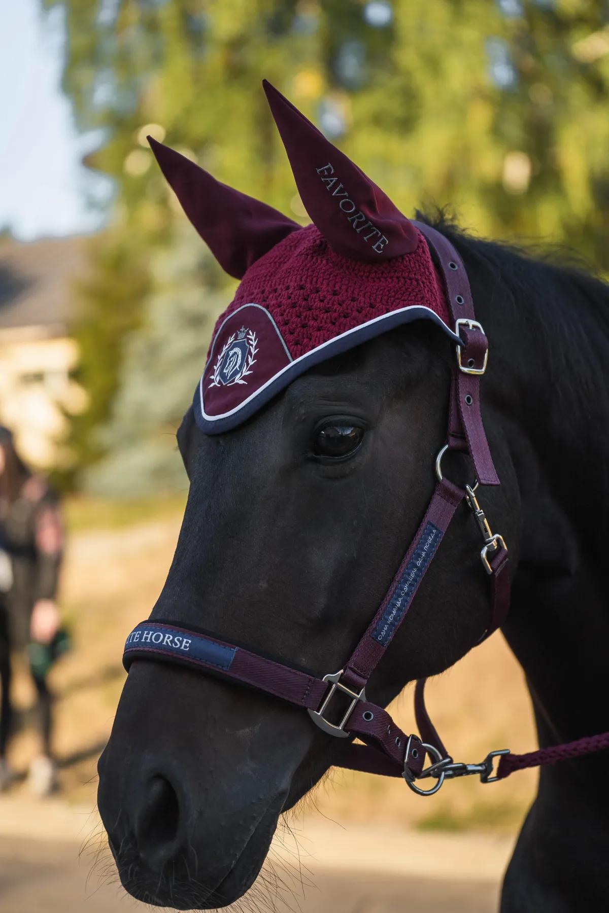 Недоуздок FAVORITE HORSE Comfort (бордовый)