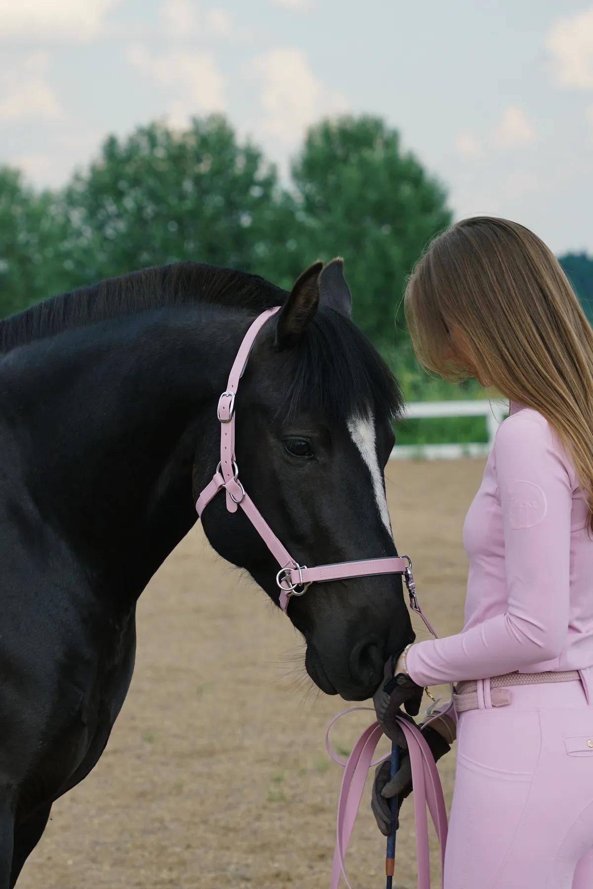 Кавессон  "LAVENDER STAR"