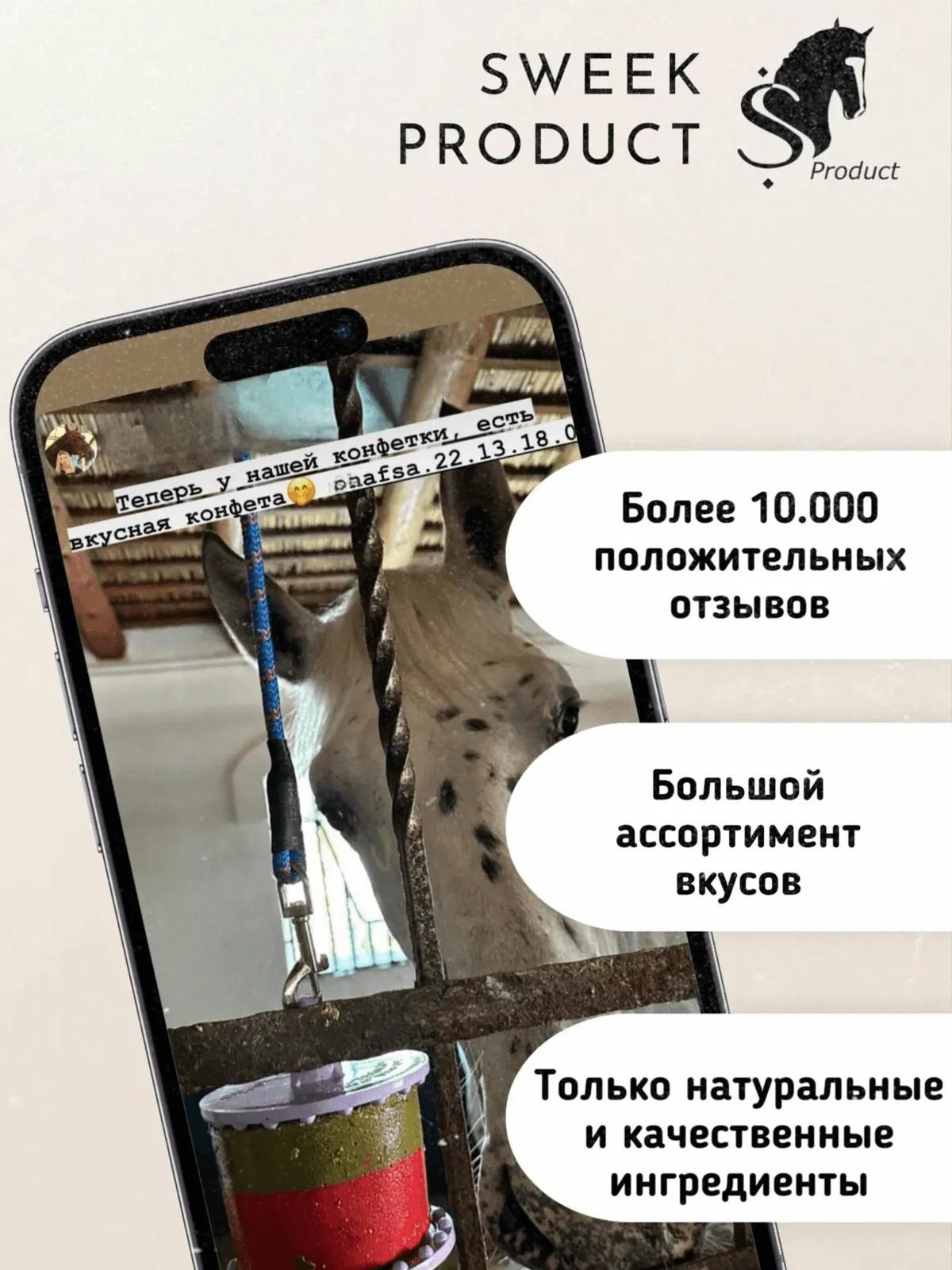 Сладкий лизунец MINI "Экзотика" для лошади Sweek product, 600 г, 100% натуральный, кормовая добавка