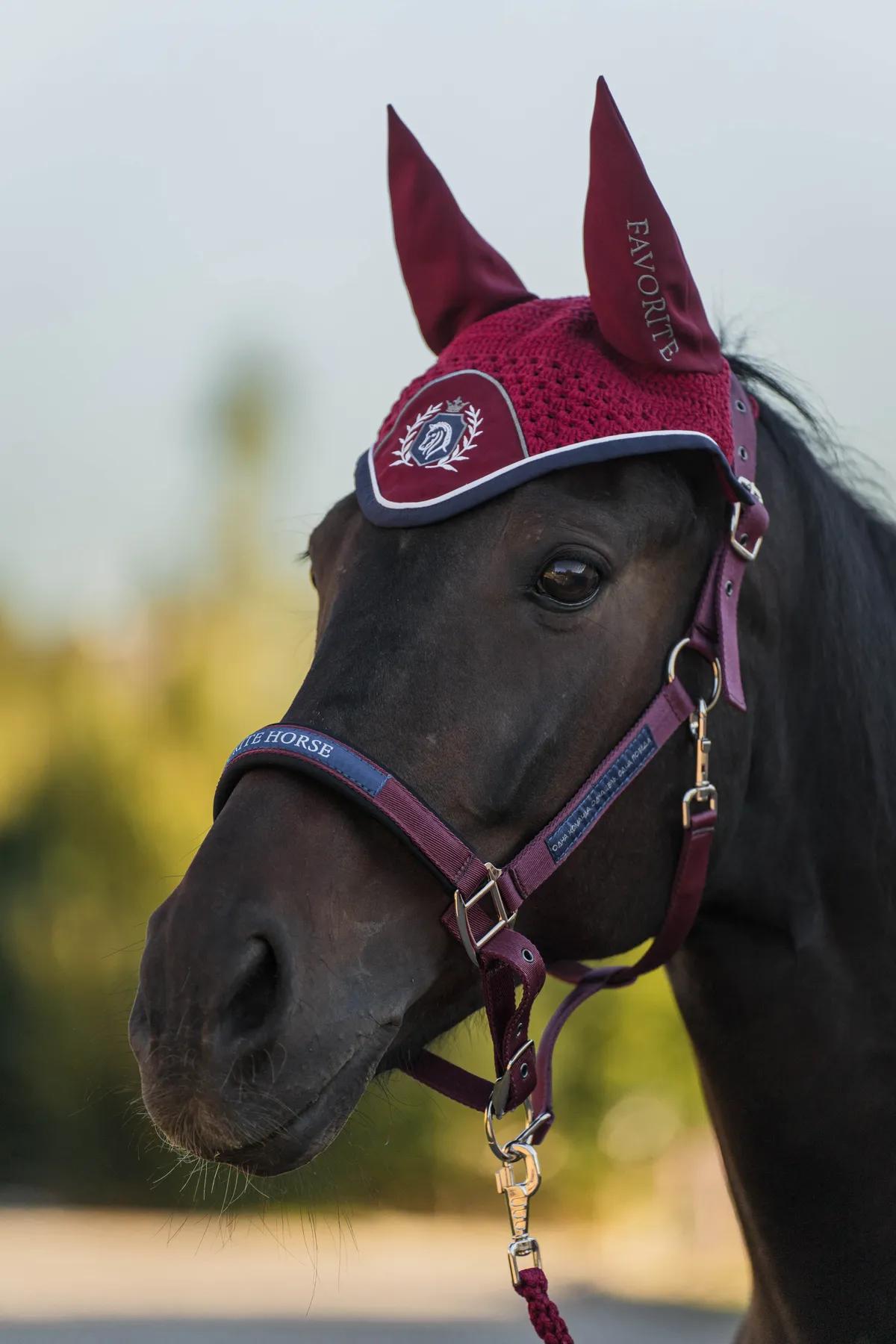 Недоуздок FAVORITE HORSE Comfort (бордовый)