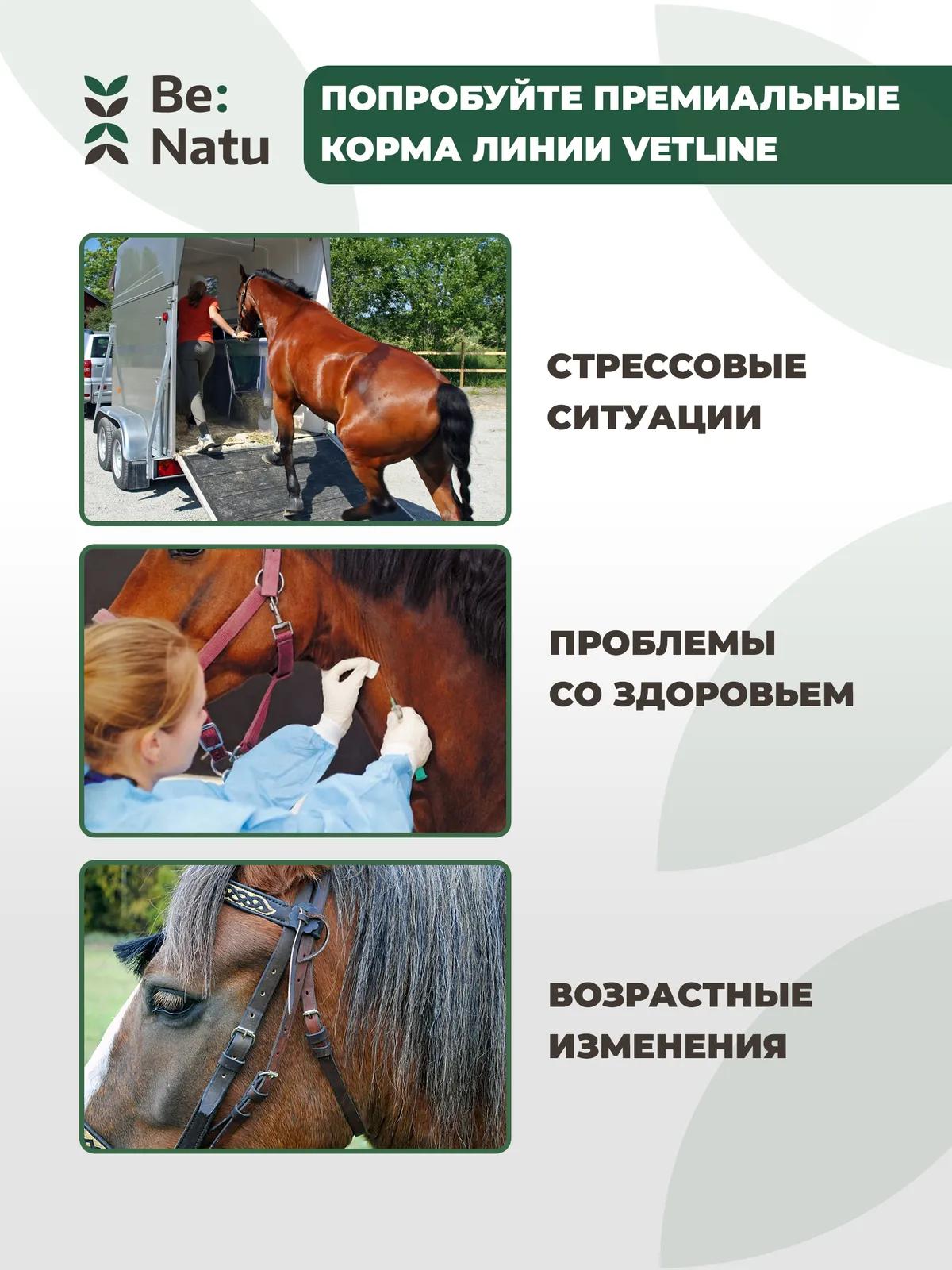 Fast mash 20кг.