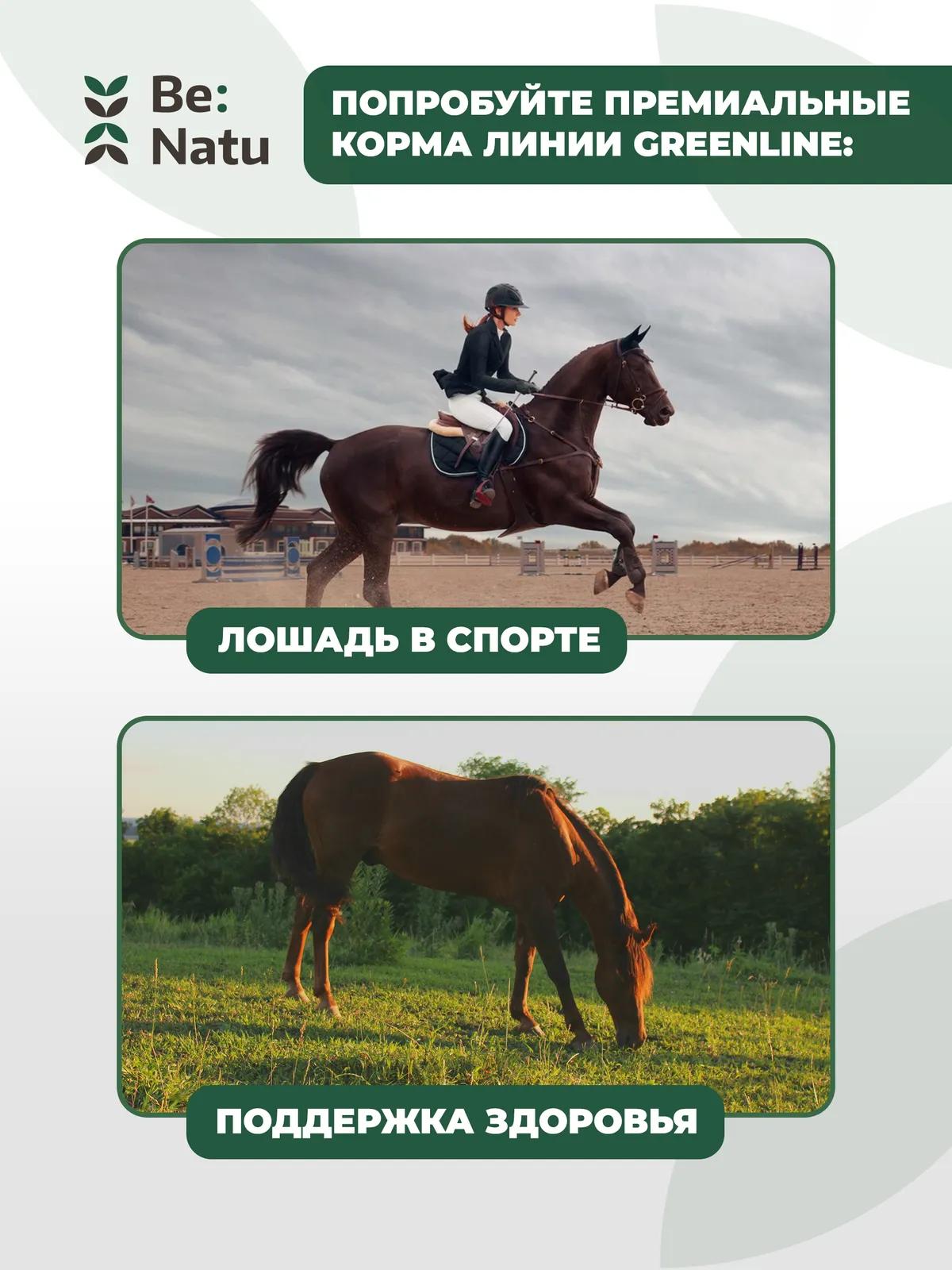 Energy sport mix 20кг