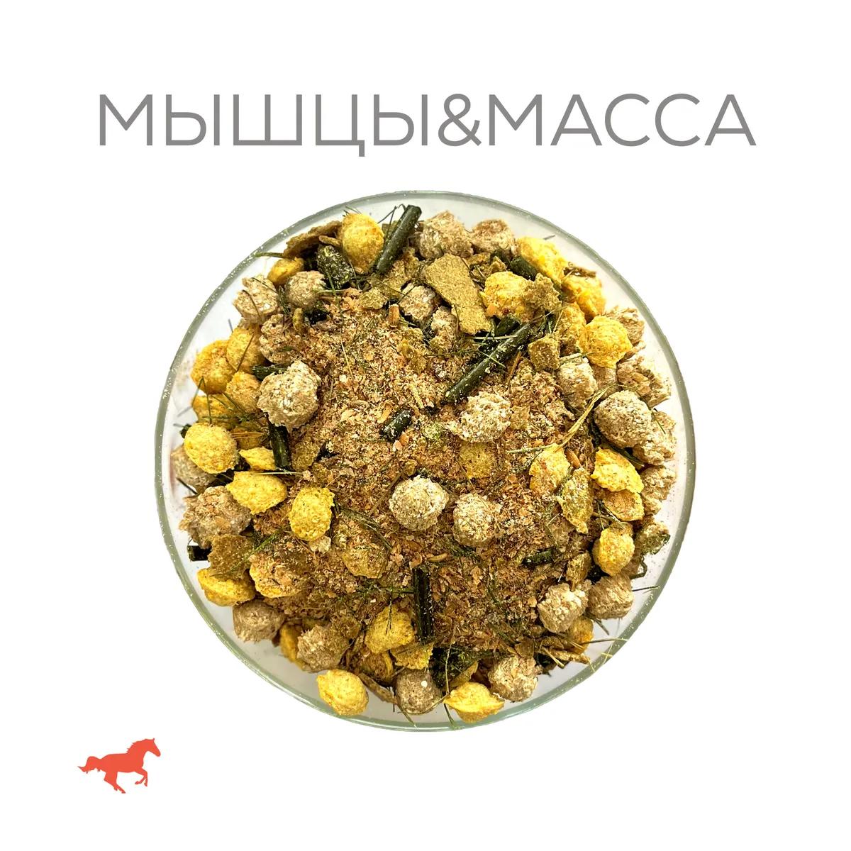 Корм «Мышцы+масса» - ProEquis