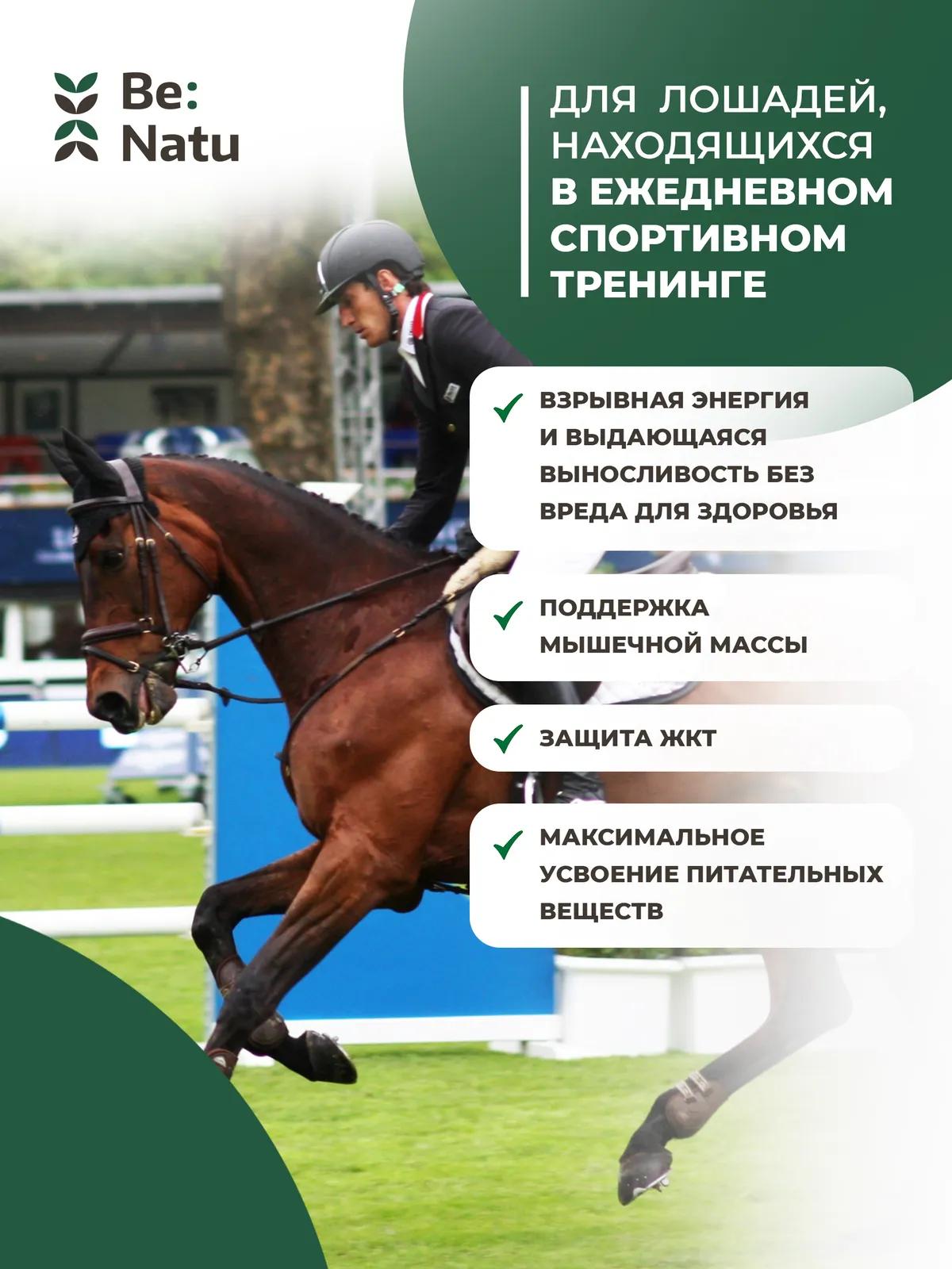 Energy sport mix 20кг