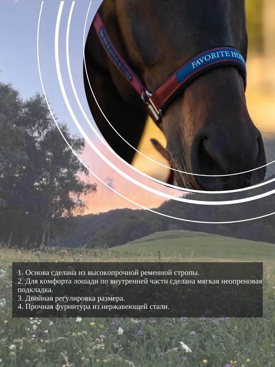 Недоуздок FAVORITE HORSE Comfort (бордовый)