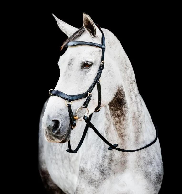 Уздечка анатомическая Horseware Micklem 2 Multi Bridle, Large Cob