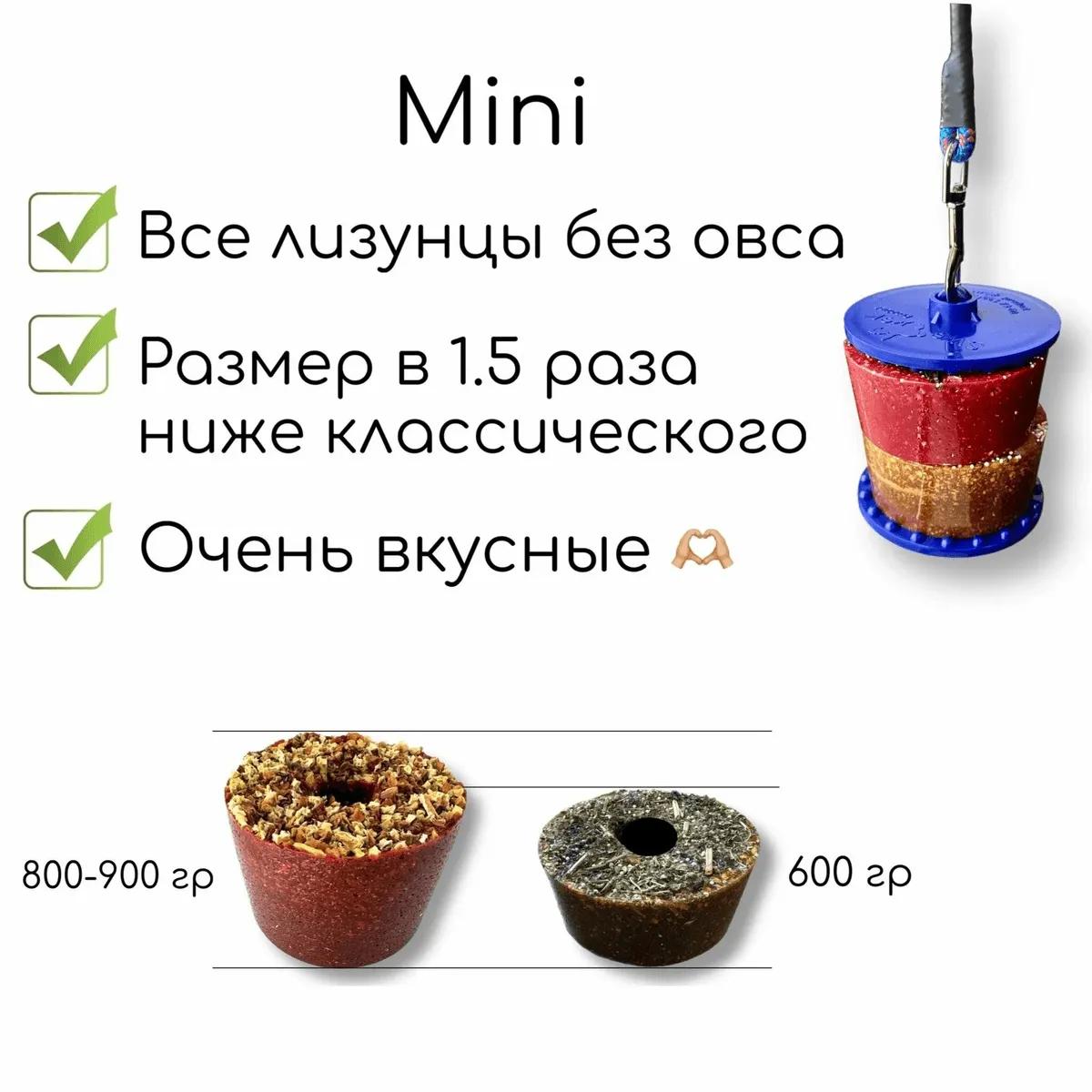 Сладкий лизунец MINI "Экзотика" для лошади Sweek product, 600 г, 100% натуральный, кормовая добавка