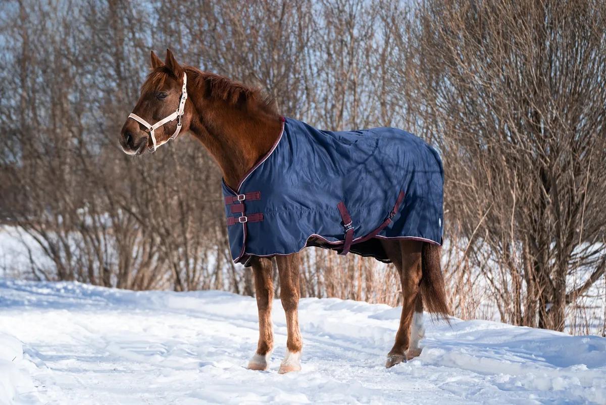 Попона денниковая FLEECE-LINED на флисе синий