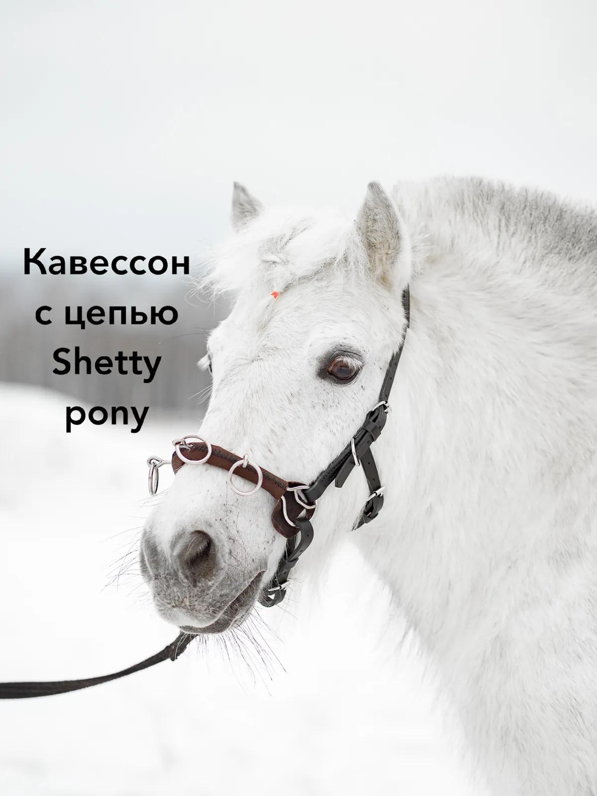 Кавессон с цепью Mini shetty - малый Pony