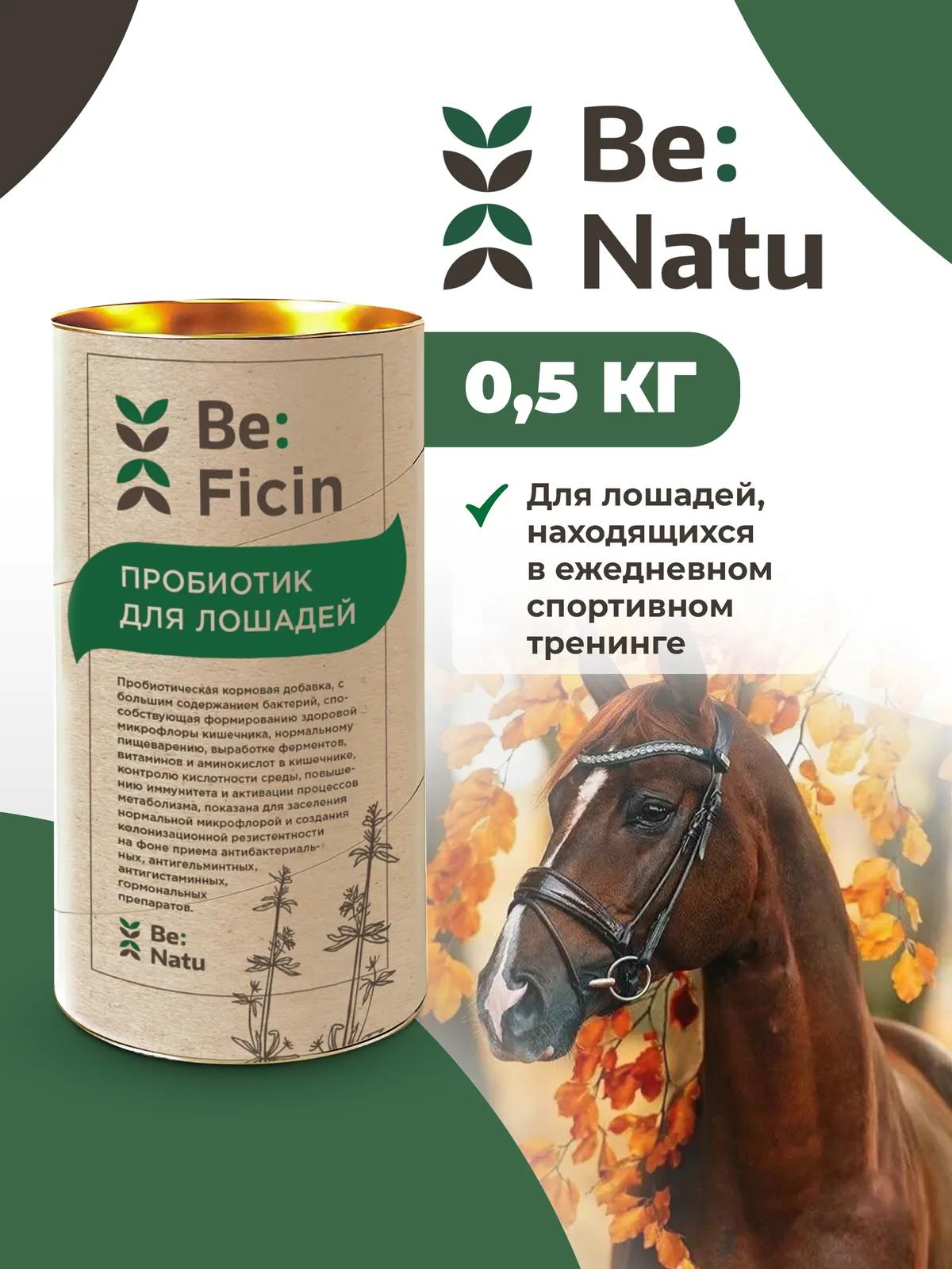 Be:Ficin 0,5кг