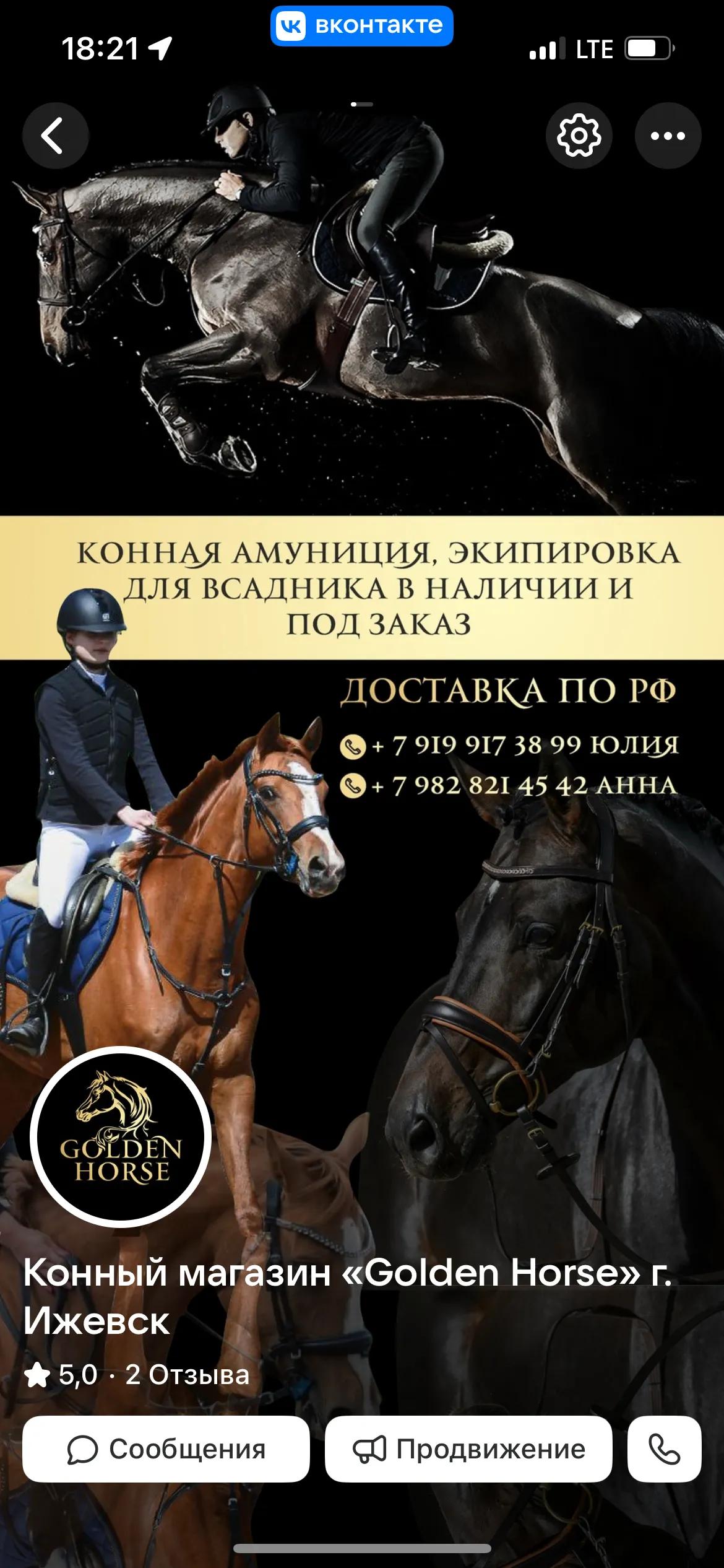 Баннер магазина Golden horse