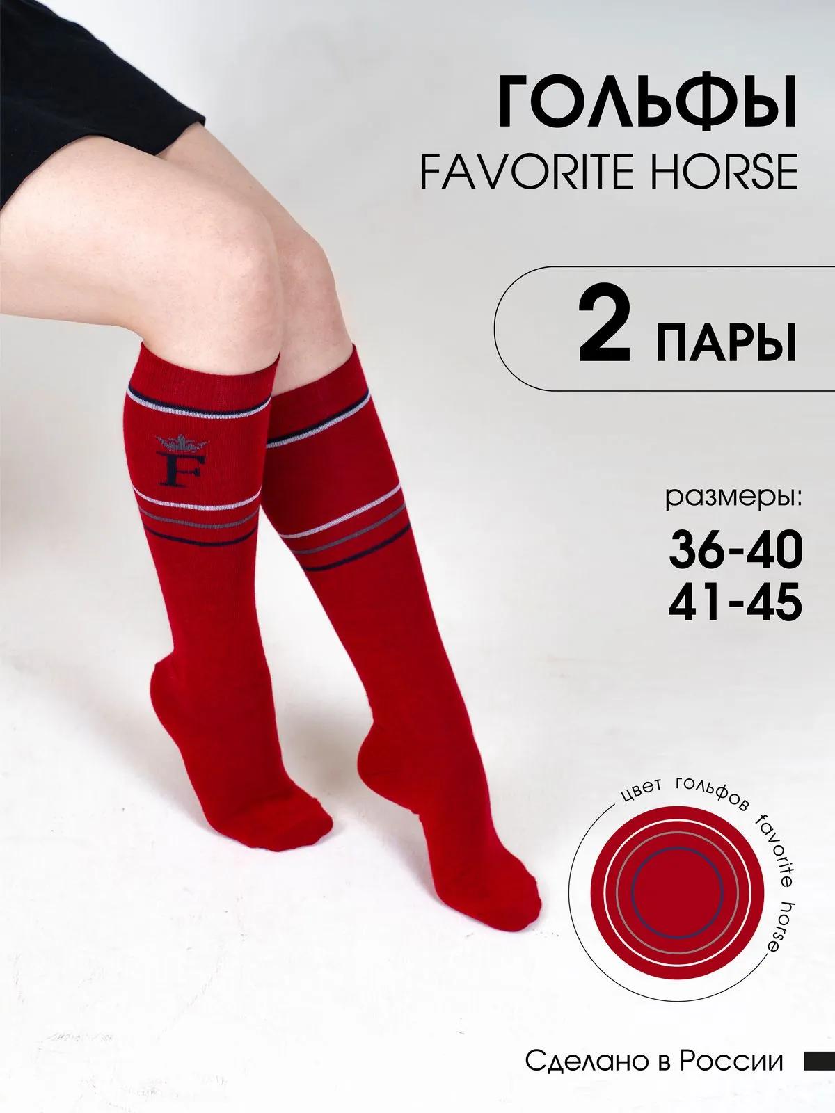 Гольфы FAVORITE HORSE 2 пары 41-45 (красные, унисекс)