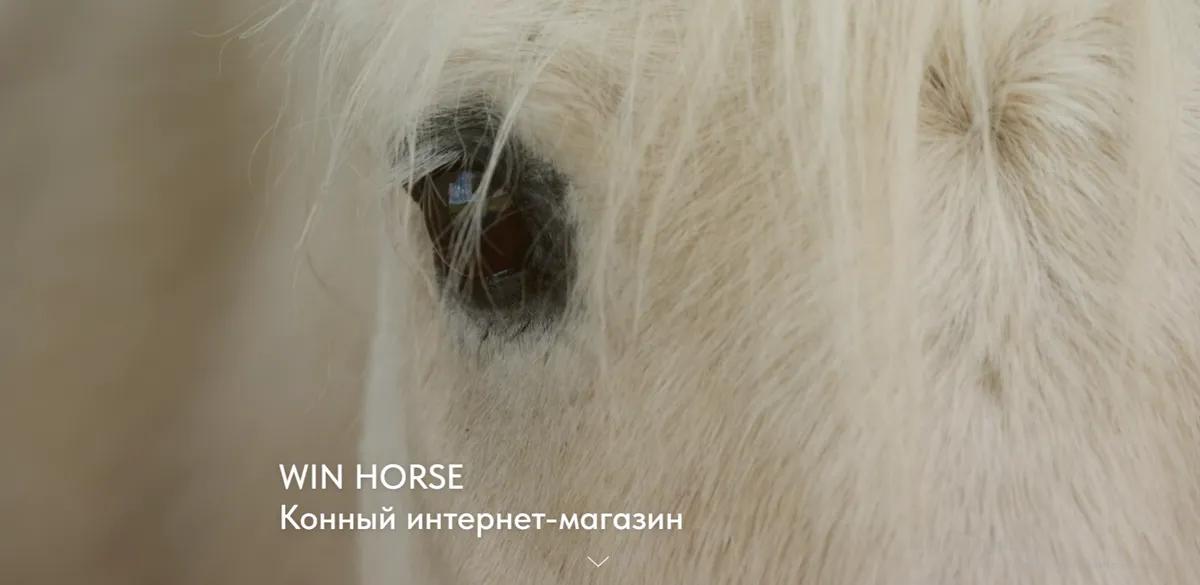 Баннер магазина WIN HORSE