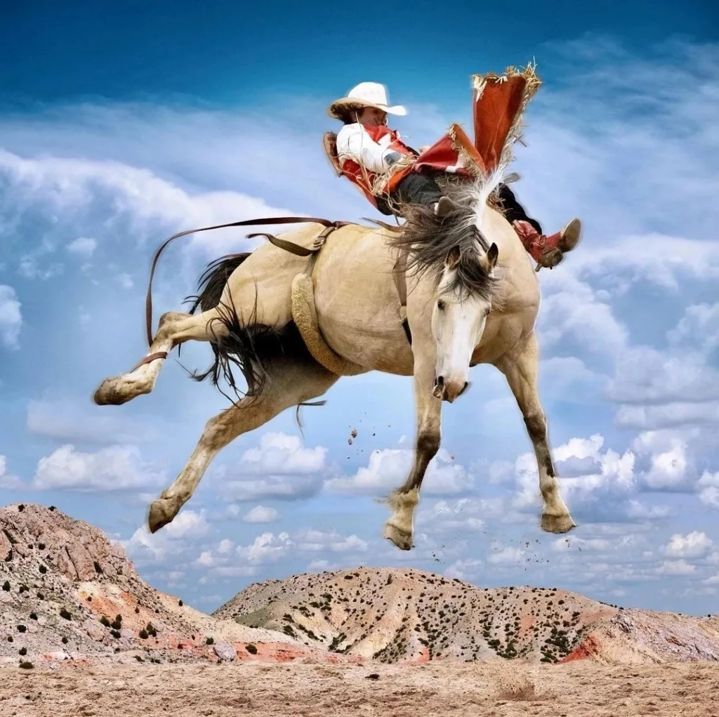 steve-wrubel-fotografii-loshadej-rodeo
